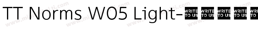 TT Norms W05 Light字体转换